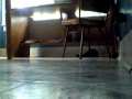 videos de Paper ball 1
