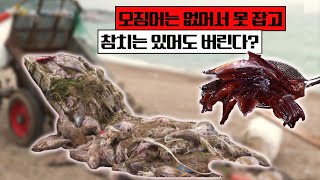 2024년도 경상북도의 해양수산분야 사업 점검