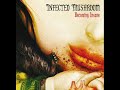 Infected Mushroom - Deeply Disturbed (Infected Remix) Infected Mushroom - Deeply Disturbed (Infected Remix)