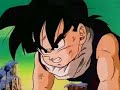Dbz - Faint