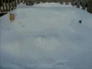 Winter Composter Winter Composter