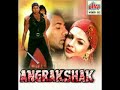 Kumar Sanu & Alka Yagnik: Dil mera churane laga