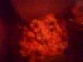 videos de 24-12-08 2253