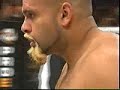 kimbo-animal-hart-li