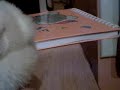 Re: Mejores momentos de Los Simpson, la pel�cula