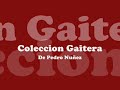 coleccion gaitera de pedro nuñez   rincon morales 89
