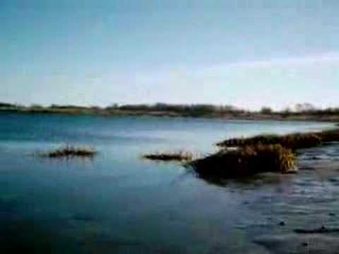 marine park