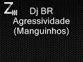 Dj BR - Agressividade (Manguinhos)