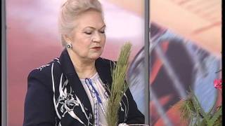 Передача "Позвоните доктору" № 4
