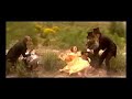 Eurochannel...promo...lo mejor de europa...Septiembre
