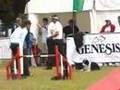 Tia at Dogs in Need agility finals winner