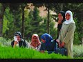 People of Algeria