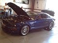Dan Schoneck 2007 Mustang Shelby GT500 King of the Street Dy
