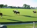 Polo Argentina: Chapa Uno vs El Paraiso Polo Argentina: Chapa Uno vs El Paraiso