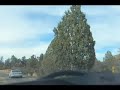 super-bowl-xlii-sedona-trip.html