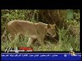 بسم الله الرحمن الرحيم