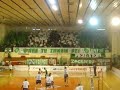 pao gate 13 ultras pao gate 13 ultras