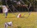 building-a-trampolin