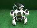 AIBO ã¢ã¤ããé¿æ³¢è¸ã
