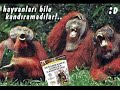 AntiFb.EzikFb AntiFb.EzikFb