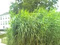 Video prise � partir d\