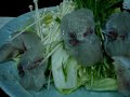 Eating Fugu