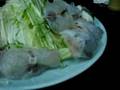 Eating Fugu