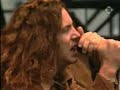 pearl jam