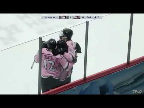 Half year highlights