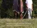 Hennegan Brothers: Barbaro clip #5 from The First Saturday in May