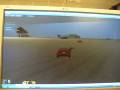 videos de My video game design project