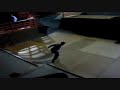 Random Catoctin Skatepark Edit Random Catoctin Skatepark Edit