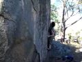 The Australia Project