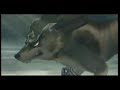 Wolf-Link VS Okami (Amaterasu)