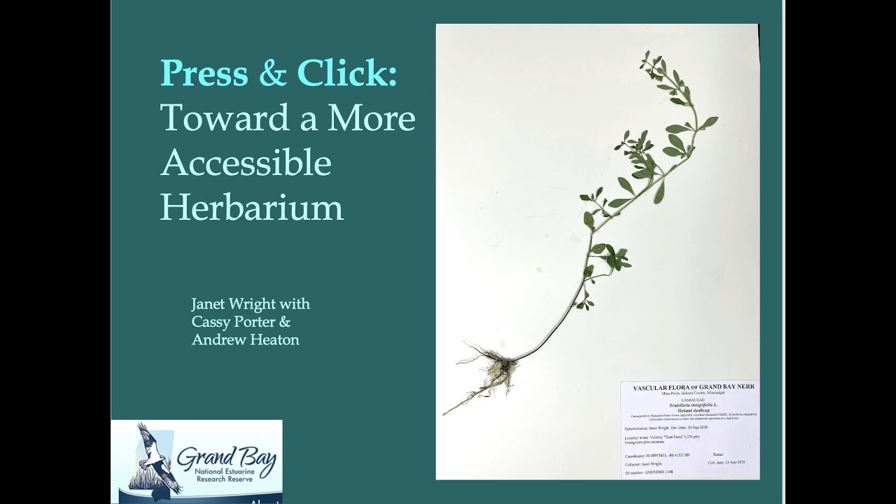 Janet Wright - Press and Click: Toward a More Accessible Herbarium