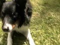 See Video