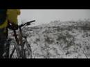 downhill на вербах...зимой