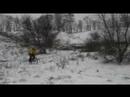 downhill на вербах...зимой