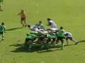 Rugby Pro arbitrage TOP 14 Castres-MTGXV