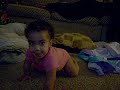 Maile & Shaking Toy