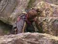 harry potter and the gobelet of fire -behind the scenes clip