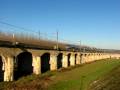 TGV Atlantique sur le viaduc de Langon (33)
