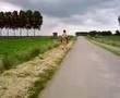 Running Stekel!