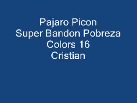 pajaro picon picon - Super Bandon Pobreza Colors 16 Cristian.