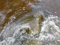 Tarr Steps - music by Ken Middleton