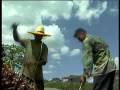 videos de King of Thailand : Substitute Energy