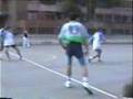 Cañito a Organista