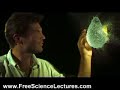 water-balloons-popping-in-slow-motion.html