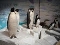 Norway: Oslo: The Fram Museum at the peninsula Bygd�y