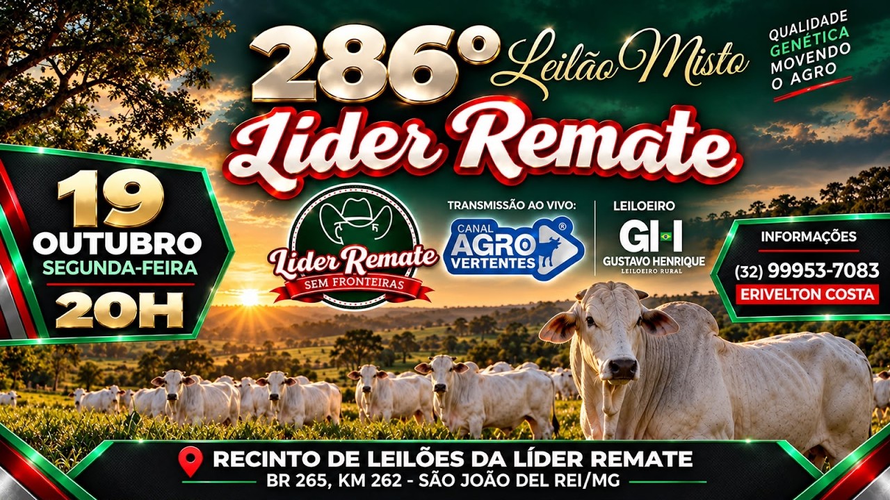 286º LEILÃO MISTO LÍDER REMATE - SÃO JOÃO DEL REI/MG - 19/10/2026
